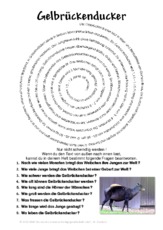 Gelbrückenducker.pdf